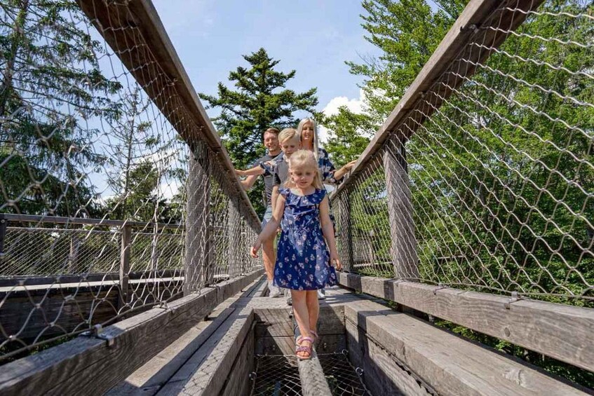 Picture 3 for Activity Bavarian Forest: Treetop Walk & Egg Tower Experience