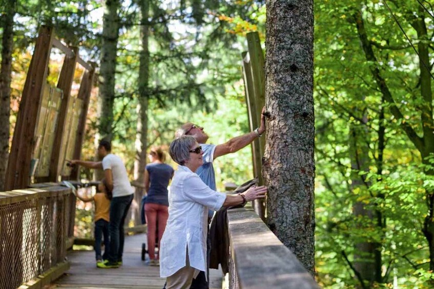 Picture 4 for Activity Bavarian Forest: Treetop Walk & Egg Tower Experience
