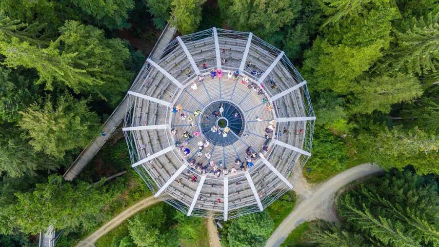Bavarian Forest: Treetop Walk & Egg Tower Experience