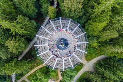 Bavarian Forest: Treetop Walk & Egg Tower Experience