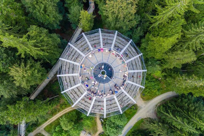 Bavarian Forest: Treetop Walk & Egg Tower Experience