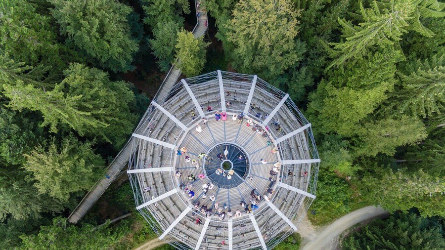 Bavarian Forest: Treetop Walk & Egg Tower Experience