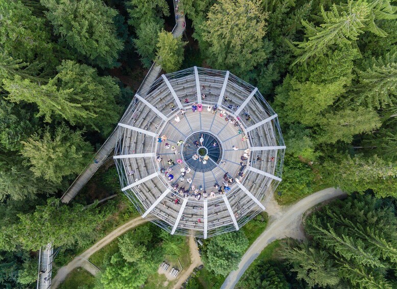 Bavarian Forest: Treetop Walk & Egg Tower Experience