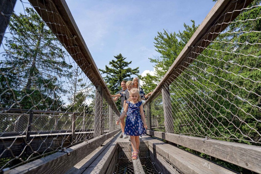 Picture 2 for Activity Bavarian Forest: Treetop Walk & Egg Tower Experience