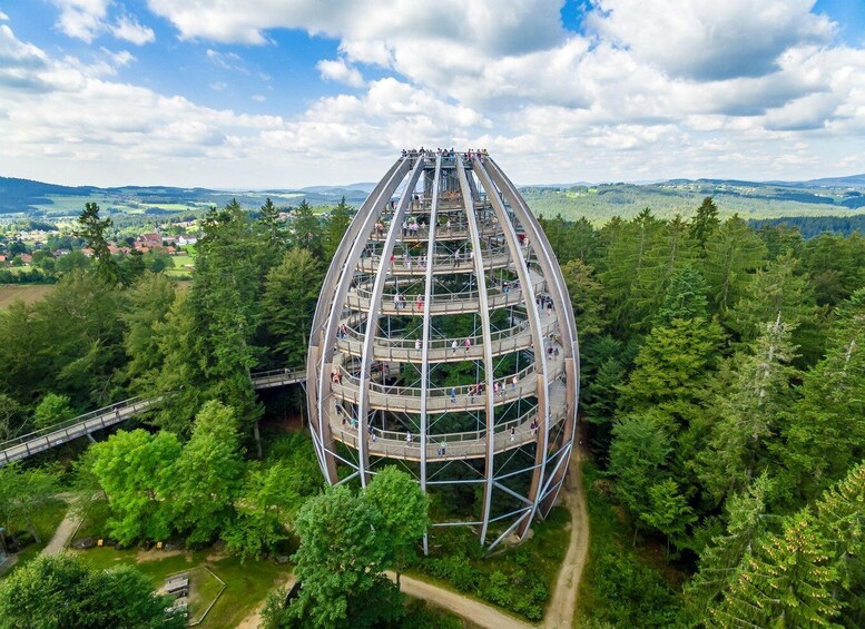 Picture 5 for Activity Bavarian Forest: Treetop Walk & Egg Tower Experience