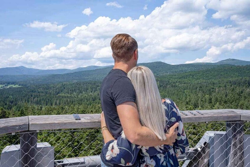 Picture 1 for Activity Bavarian Forest: Treetop Walk & Egg Tower Experience