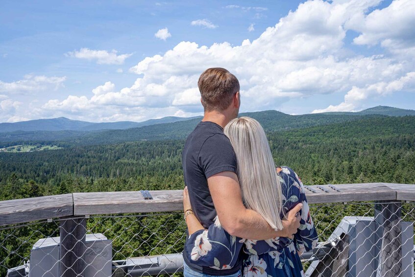 Picture 1 for Activity Bavarian Forest: Treetop Walk & Egg Tower Experience