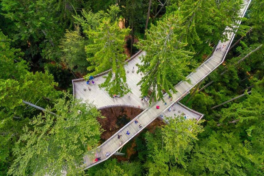 Picture 5 for Activity Bavarian Forest: Treetop Walk & Egg Tower Experience