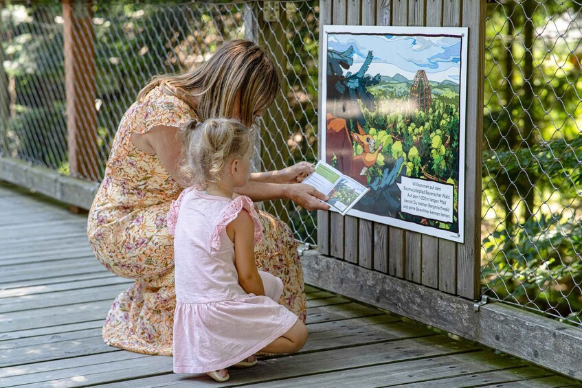 Picture 3 for Activity Bavarian Forest: Treetop Walk & Egg Tower Experience