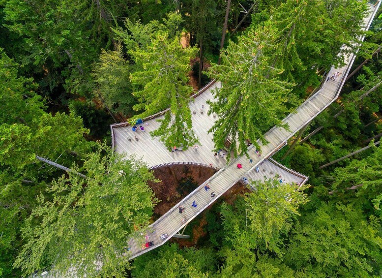 Picture 6 for Activity Bavarian Forest: Treetop Walk & Egg Tower Experience