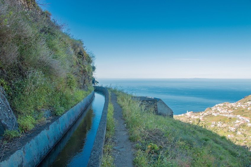 Guided Nature Hike (Half Day) - Levada do Norte