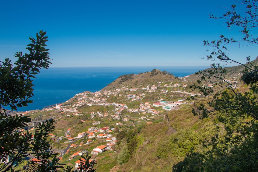 Guided Nature Hike (Half Day) - Levada do Norte