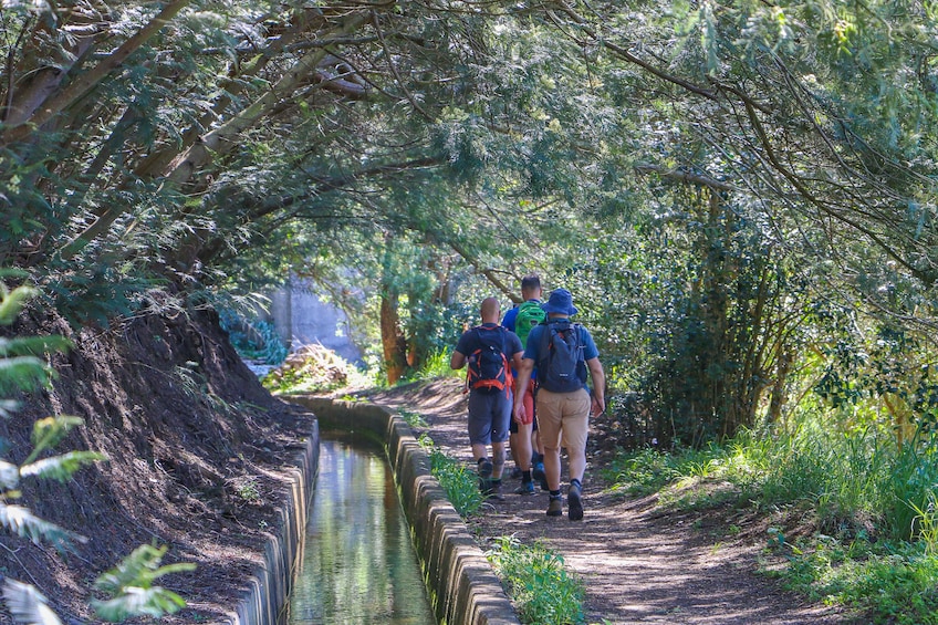 Guided Nature Hike (Half Day) - Levada do Norte