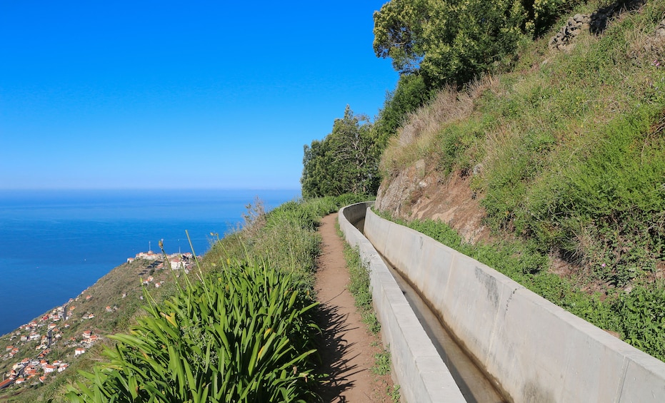 Guided Nature Hike (Half Day) - Levada do Norte