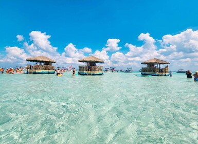 Destin: Tailfins Tiki Crab Island Sandbar Float :Swim :Chill