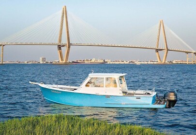 Charleston: Sunset Harbour Cruise for Dolphin Watching