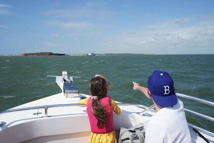 Charleston: Sunset Harbour Cruise for Dolphin Watching