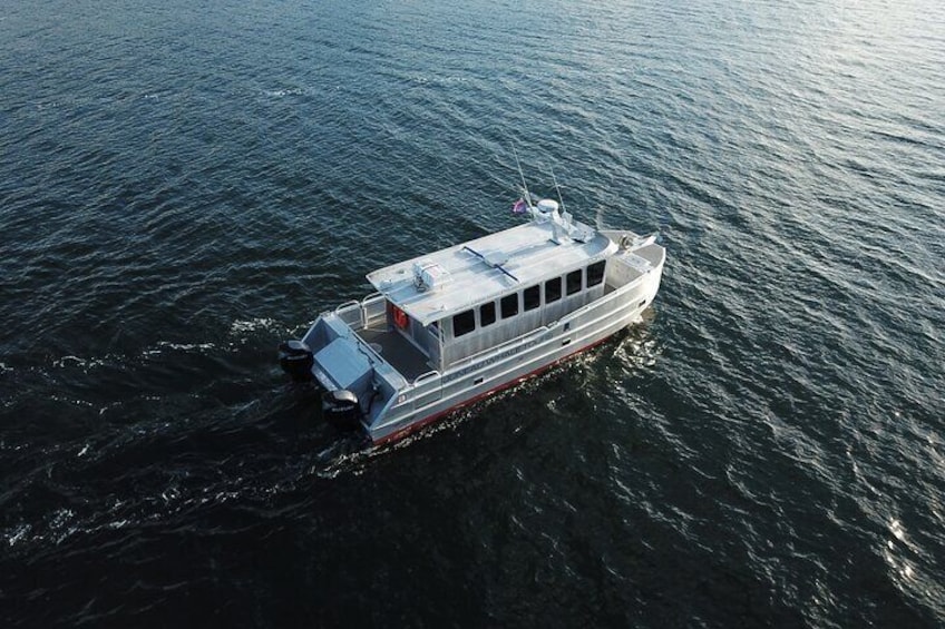 3 Hours Private Whale Tour in Juneau Alaska