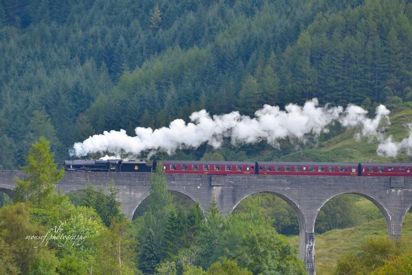 Glenfinnan: Glenaladale cruise, see the train and eagles 2hr
