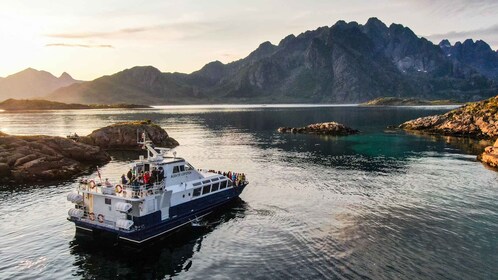 From Svolvær: Lofoten Trollfjord Cruise & Sea Eagle Safari
