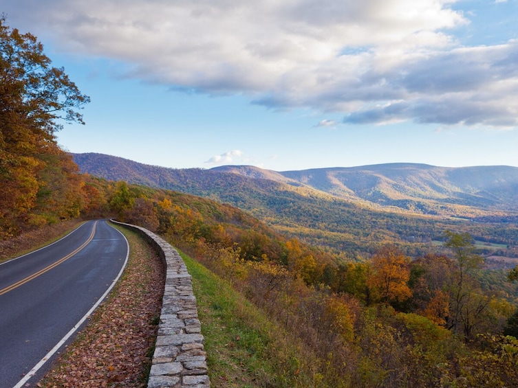 BEST Luray Caverns &Skyline Drive in Shenandoah National Park Tour from D.C