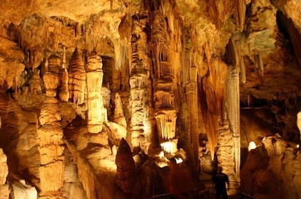 BEST Luray Caverns &Skyline Drive in Shenandoah National Park Tour from D.C
