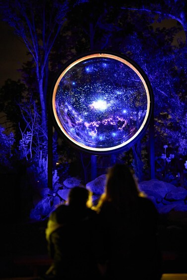 Picture 5 for Activity Astra Lumina Entry at Currumbin Wildlife Sanctuary