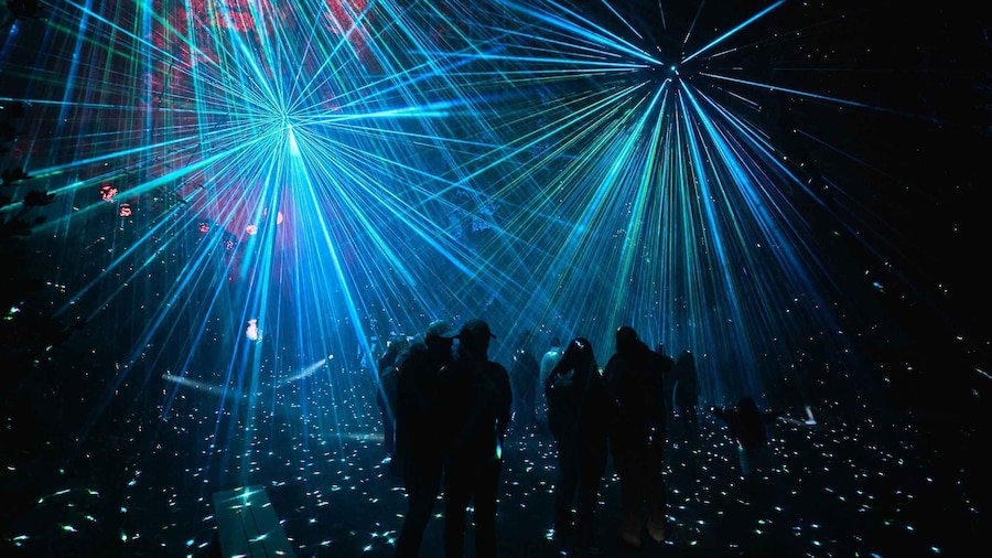 Astra Lumina Entry at Currumbin Wildlife Sanctuary