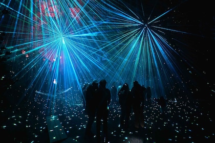 Astra Lumina Entry at Currumbin Wildlife Sanctuary