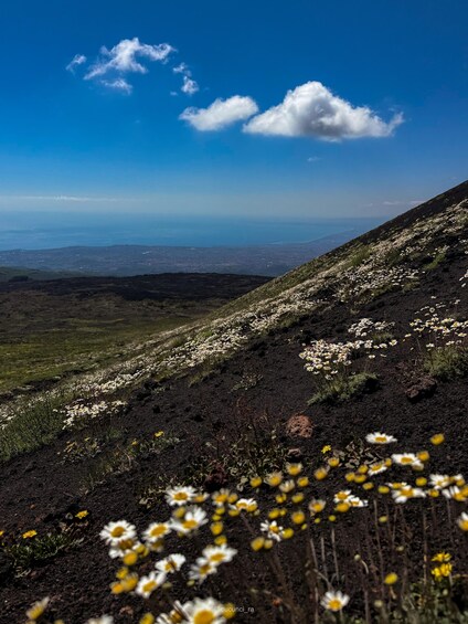 Picture 8 for Activity Catania: Etna and Snorkeling Tour