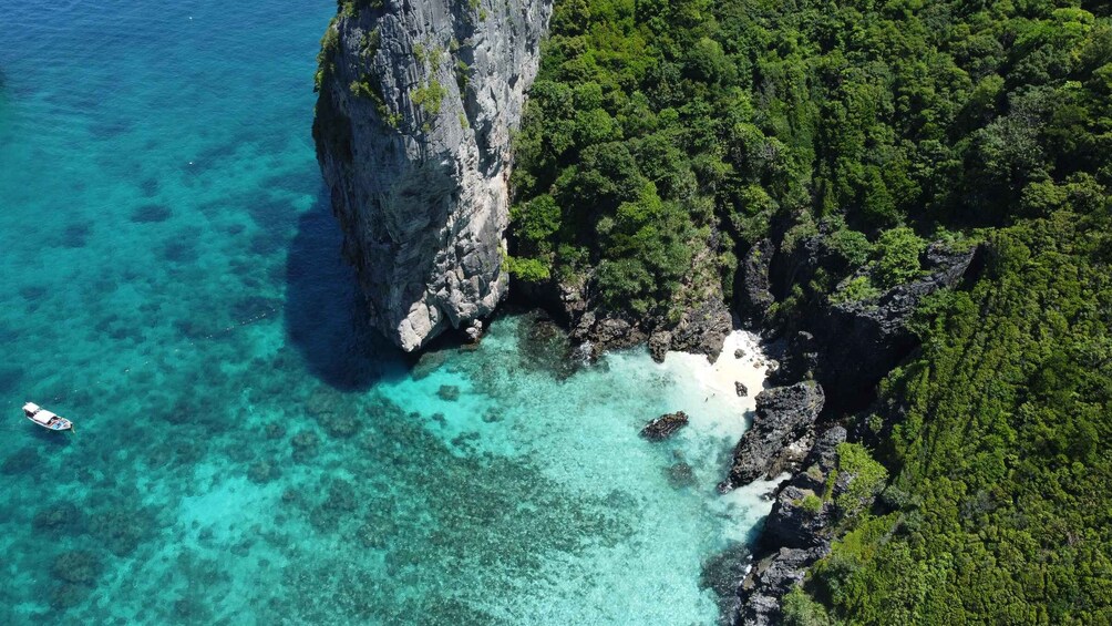 Picture 5 for Activity Krabi: Phi Phi Islands Speedboat Tour with Buffet Lunch