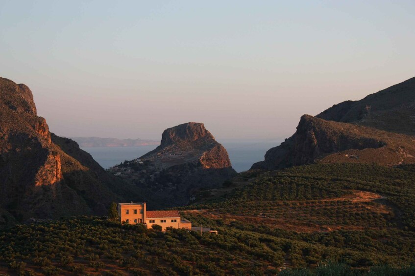 Picture 3 for Activity Kolymvari: Biolea Olive Oil Enthusiast Tour