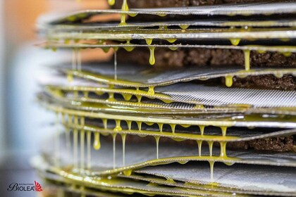 Kolymvari: Biolea Olive Oil Enthusiast Tour