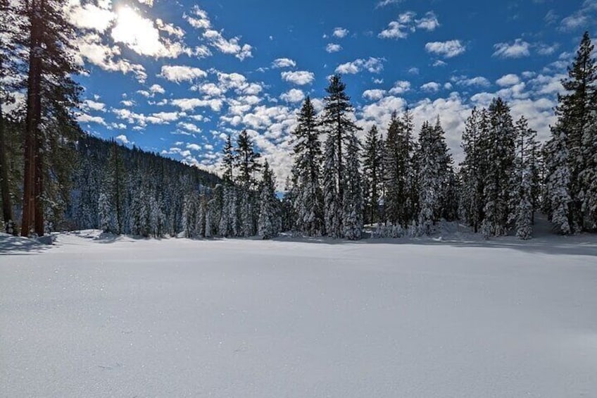 Magical night time snowshoeing landscape.