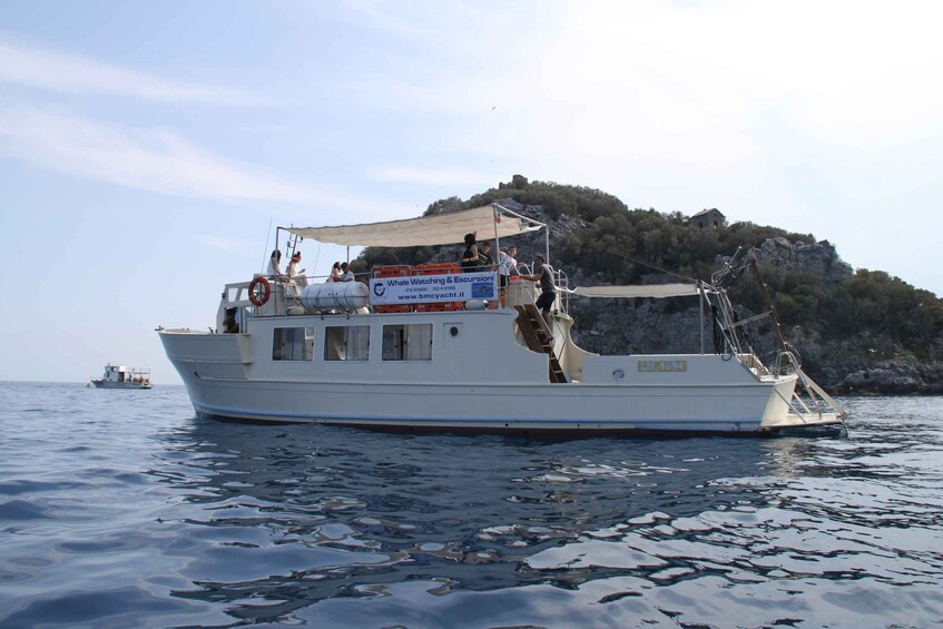 Bergeggi Island: Boat trip with a swimming stop
