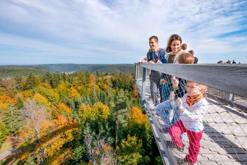Picture 1 for Activity Black Forest: Treetop Walk & Lookout Tower Experience