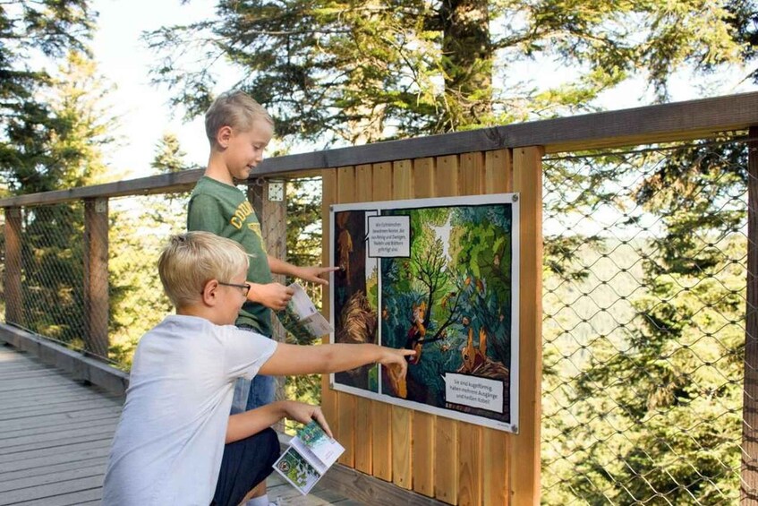 Picture 2 for Activity Black Forest: Treetop Walk & Lookout Tower Experience