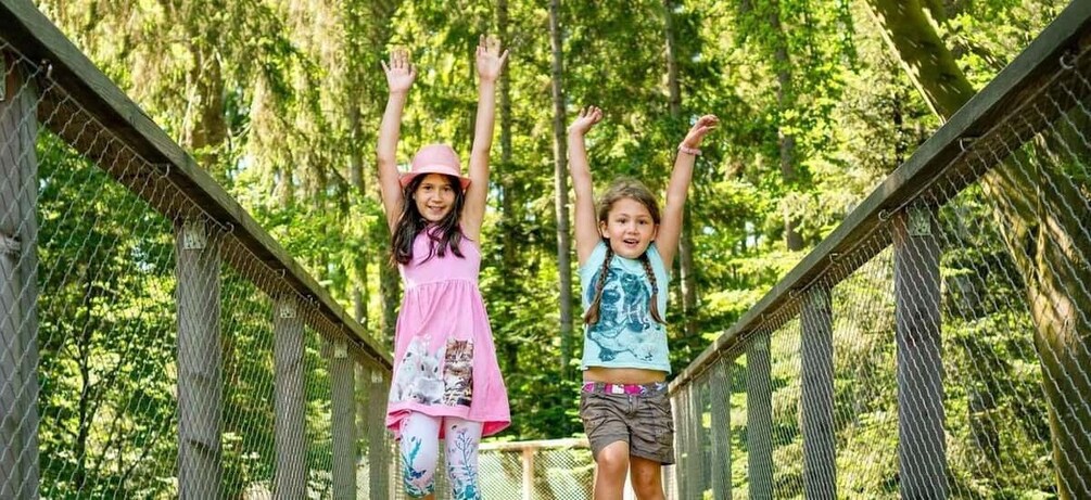 Picture 4 for Activity Black Forest: Treetop Walk & Lookout Tower Experience