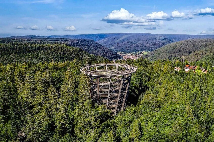 Picture 5 for Activity Black Forest: Treetop Walk & Lookout Tower Experience