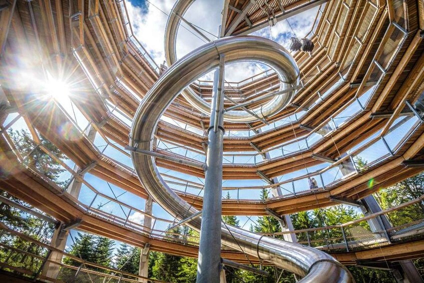 Black Forest: Treetop Walk & Lookout Tower Experience