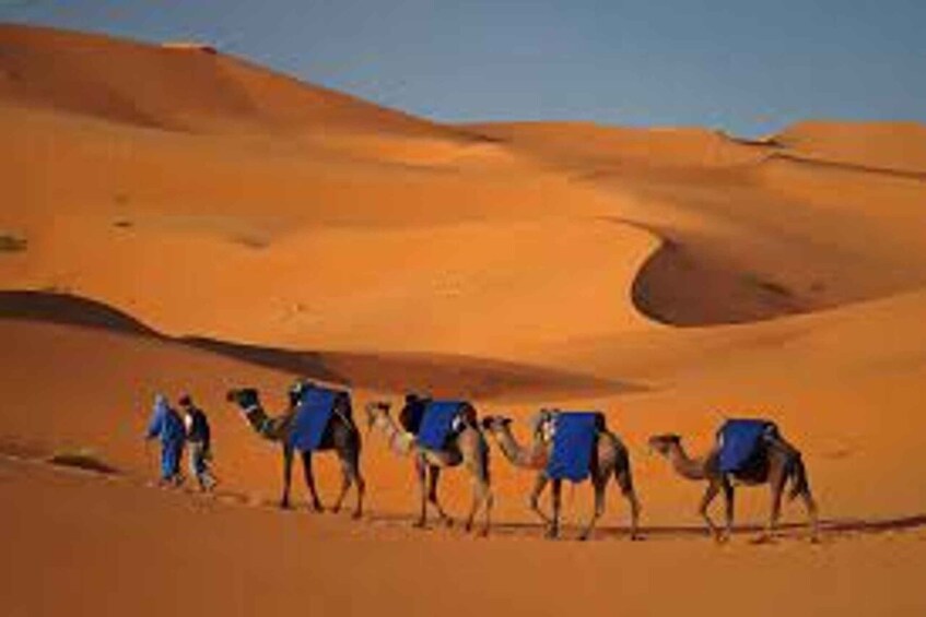 Picture 3 for Activity Overnight Stay at Sahara Desert Camp from Merzouga