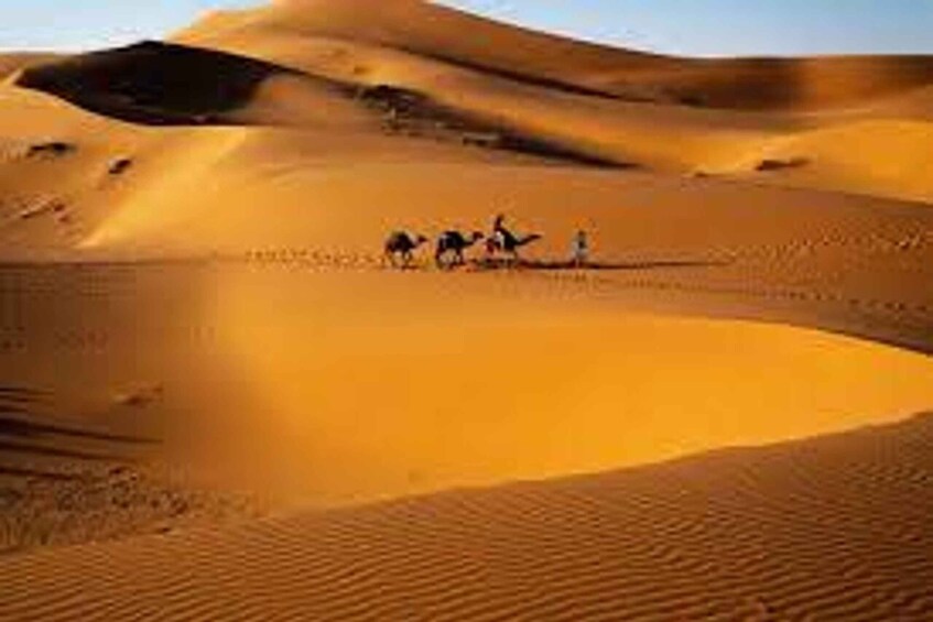 Picture 2 for Activity Overnight Stay at Sahara Desert Camp from Merzouga