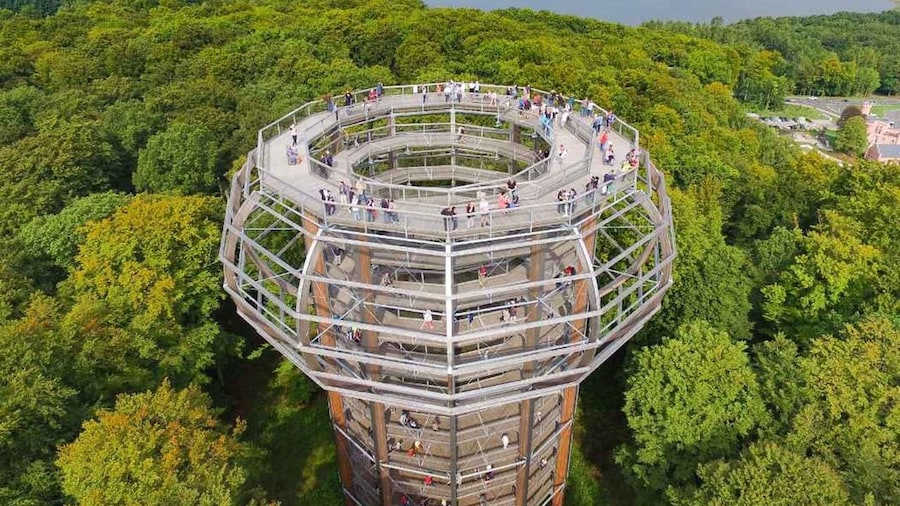 Naturerbe Zentrum Rügen & Treetop Walk Experience
