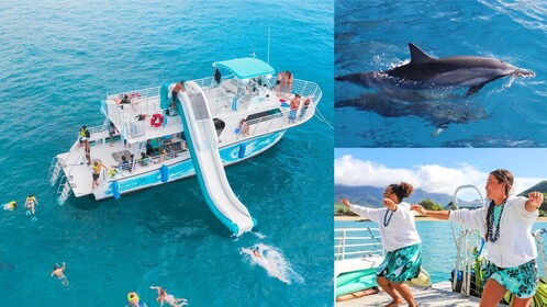 Premiere Oahu Dolphin Cruise with Turtle Snorkelling, 20ft Sea Slide & Lunc...