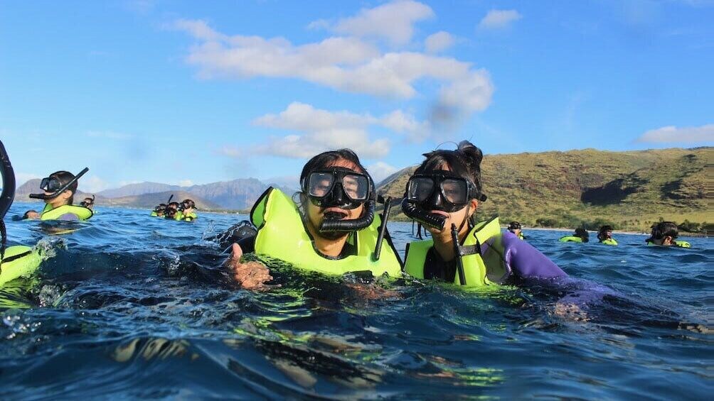 Premiere Oahu Dolphin Cruise with Turtle Snorkeling, 20ft Sea Slide & Lunch