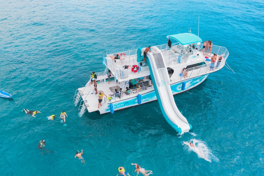 Premiere Oahu Dolphin Cruise with Turtle Snorkeling, 20ft Sea Slide & Lunch