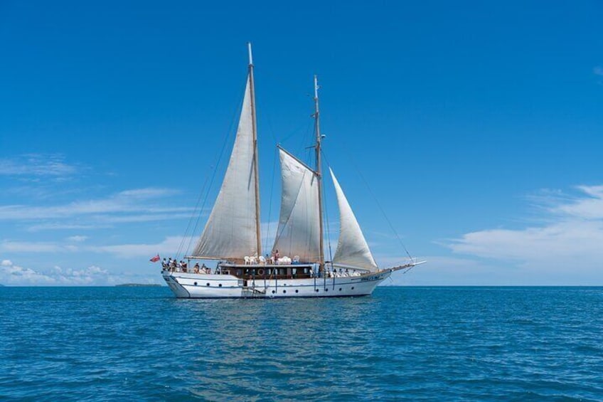 Whale's Tale Day Cruise