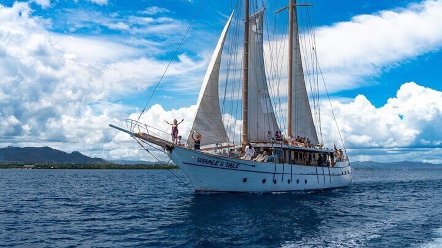 Whale's Tale Day Cruise from Port Denarau