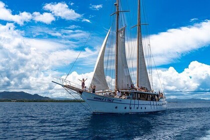 Whale's Tale-dagcruise vanuit Port Denarau