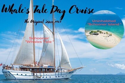 Whale's Tale Day Cruise